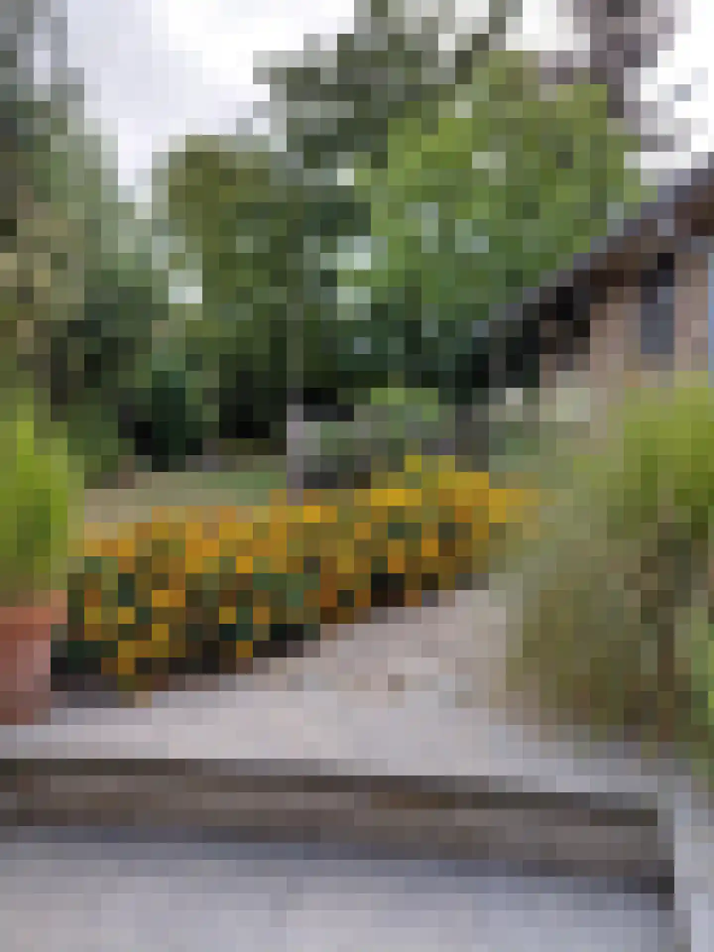 Rijksweg 105 Gronsveld thumbnail 38
