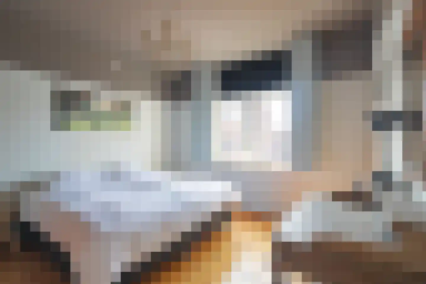 Rijksweg 105 Gronsveld thumbnail 46