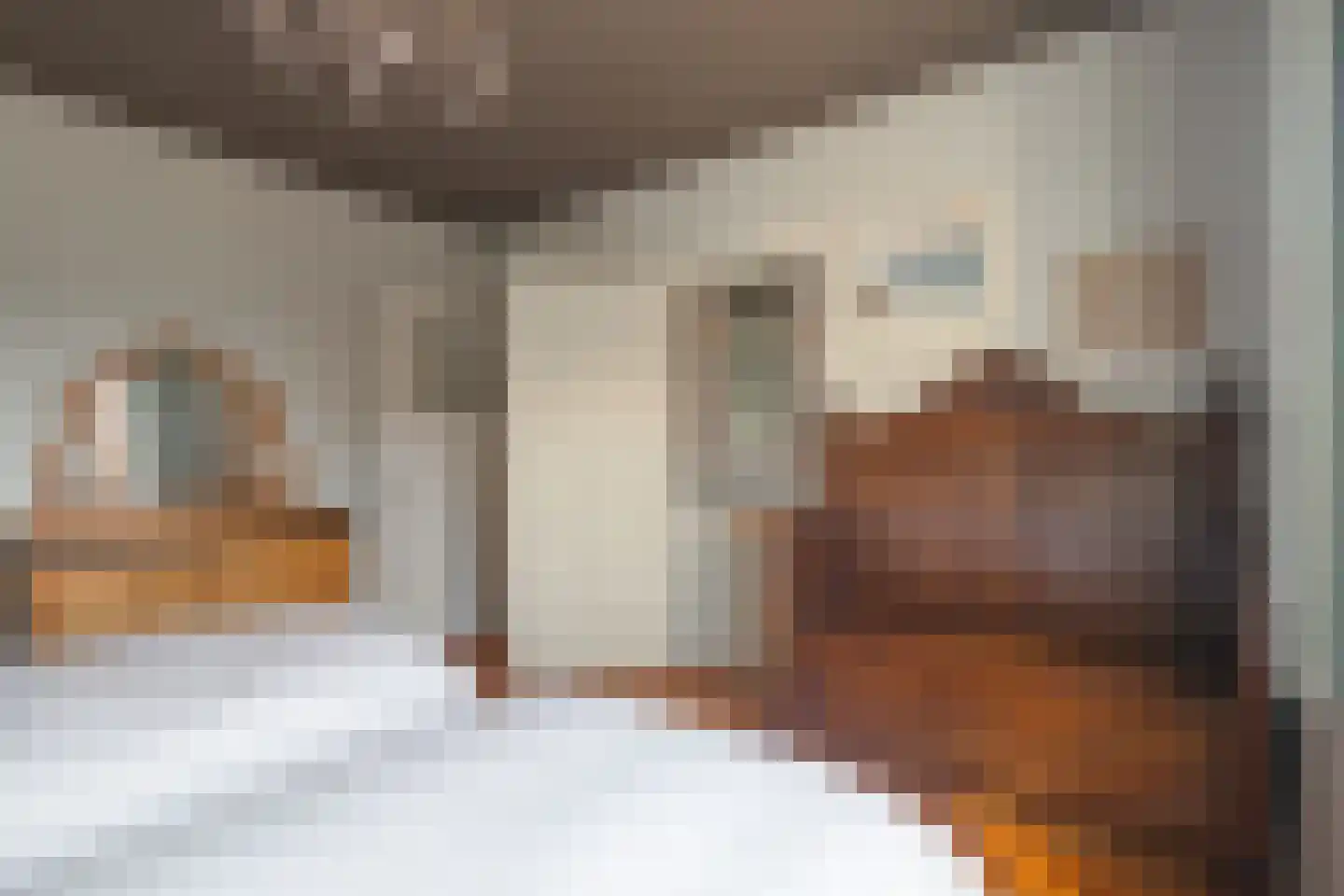 Rijksweg 105 Gronsveld thumbnail 48