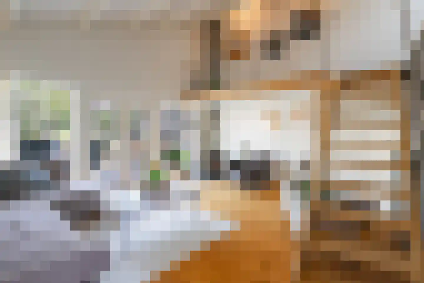 Rijksweg 105 Gronsveld thumbnail 6