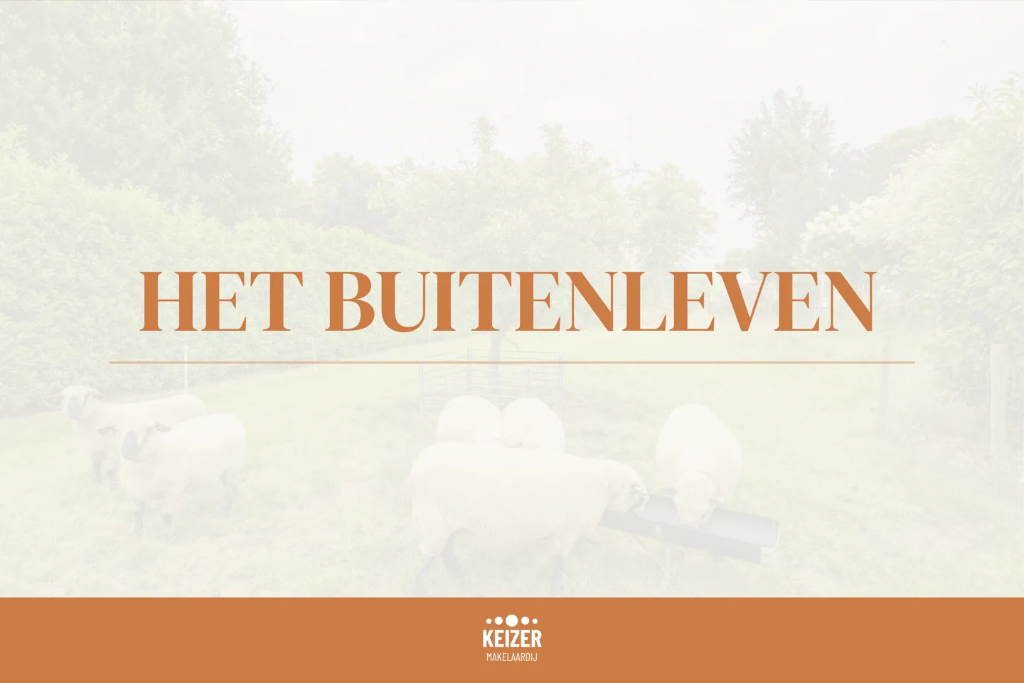 Rijksweg 109 Smilde thumbnail 64