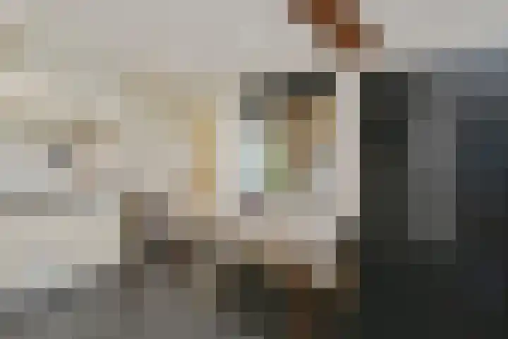 Rijksweg 11 Kessel thumbnail 10