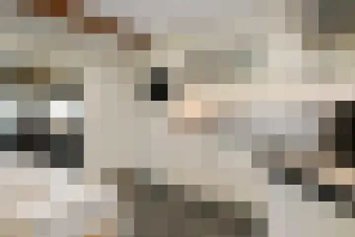 Rijksweg 11 Kessel thumbnail 11
