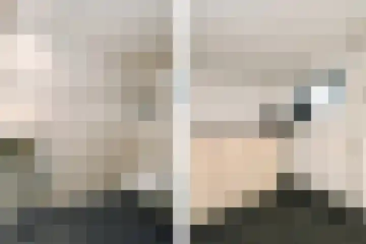 Rijksweg 11 Kessel thumbnail 13