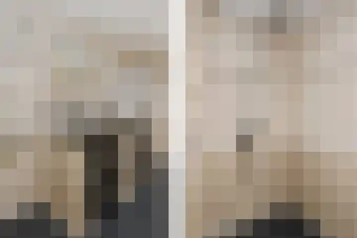 Rijksweg 11 Kessel thumbnail 17