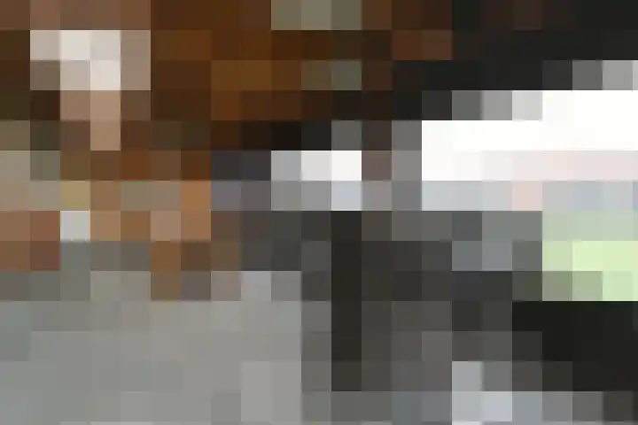 Rijksweg 11 Kessel thumbnail 26