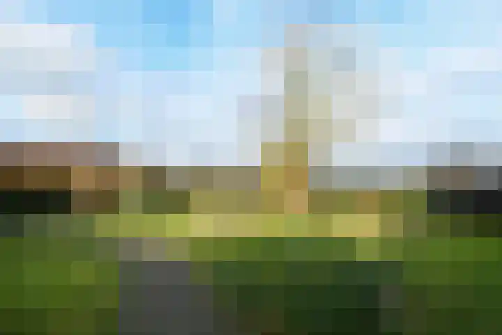 Rijksweg 11 Kessel thumbnail 28
