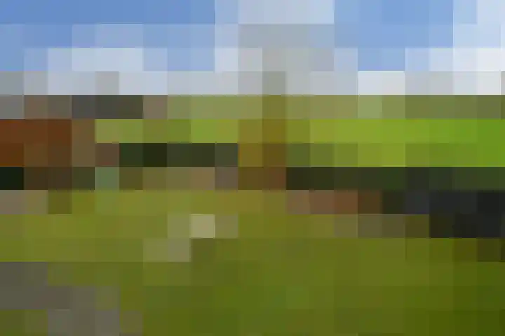 Rijksweg 11 Kessel thumbnail 29