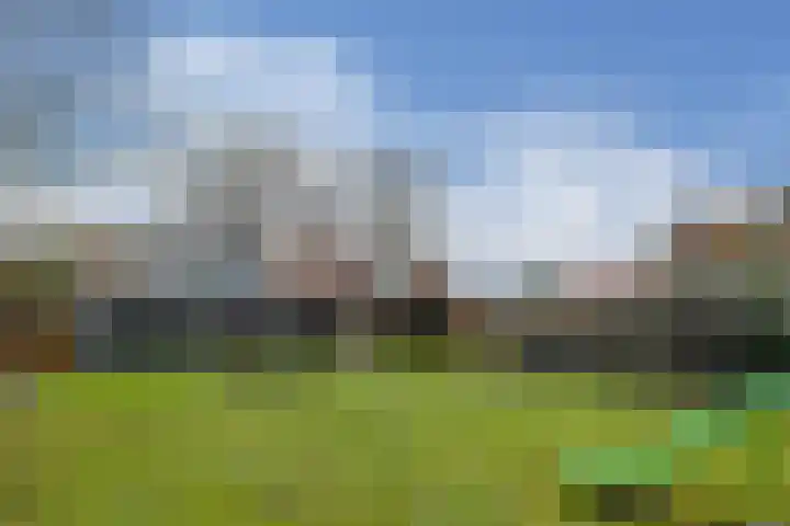 Rijksweg 11 Kessel thumbnail 33
