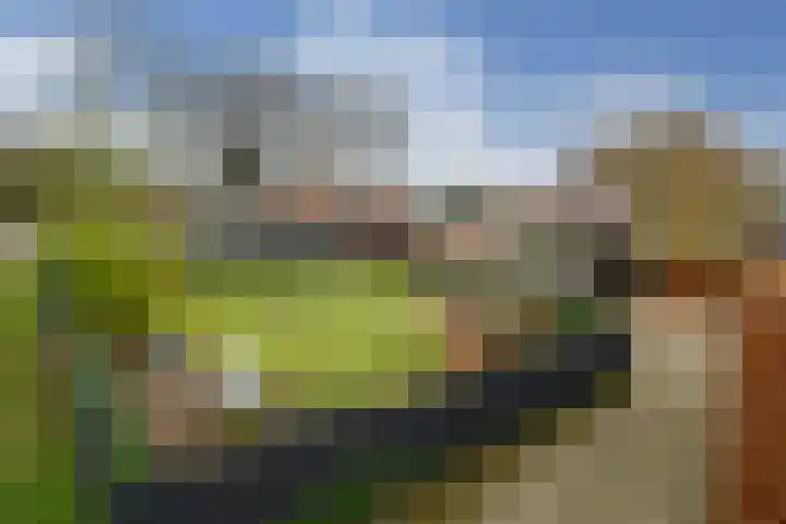 Rijksweg 11 Kessel thumbnail 39