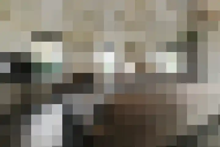 Rijksweg 11 Kessel thumbnail 4