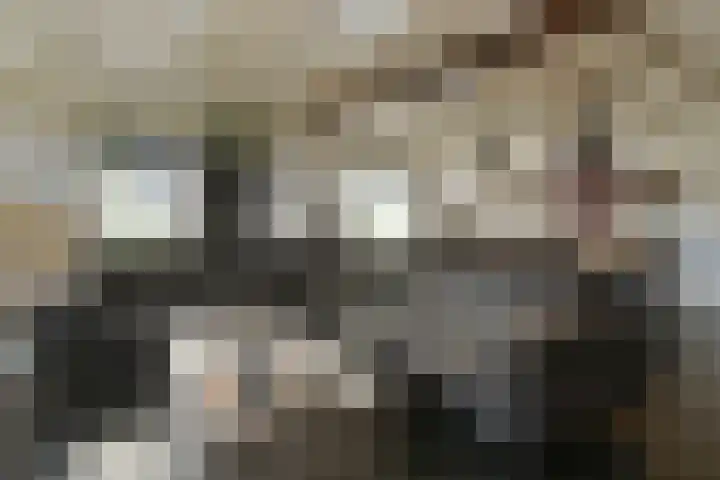 Rijksweg 11 Kessel thumbnail 5