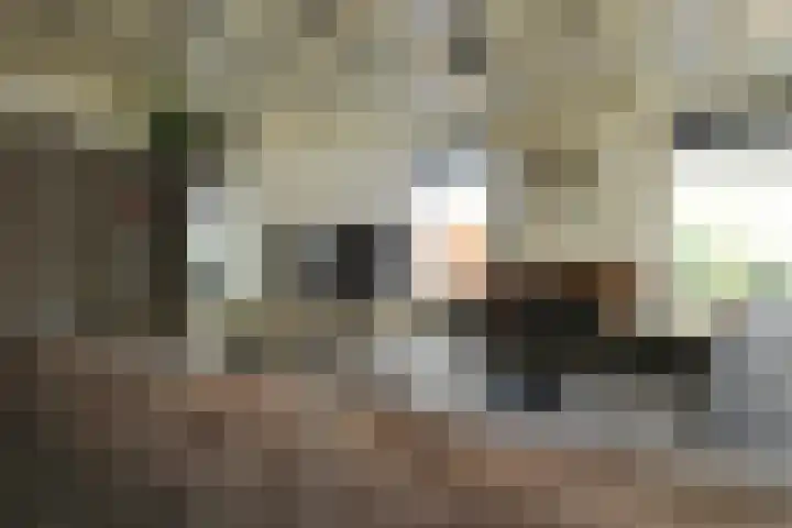 Rijksweg 11 Kessel thumbnail 6