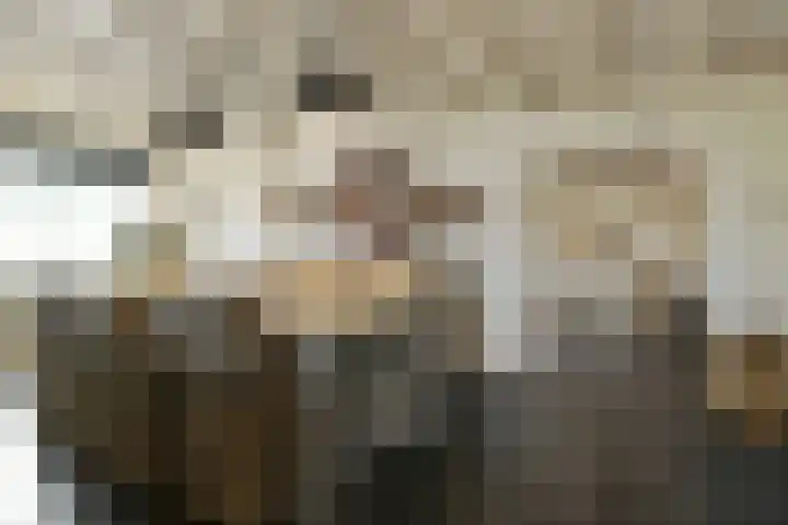 Rijksweg 11 Kessel thumbnail 7