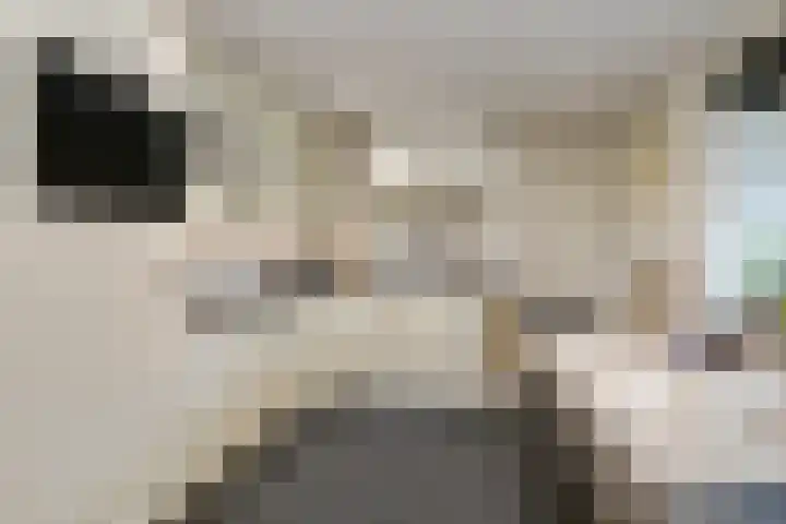 Rijksweg 11 Kessel thumbnail 9