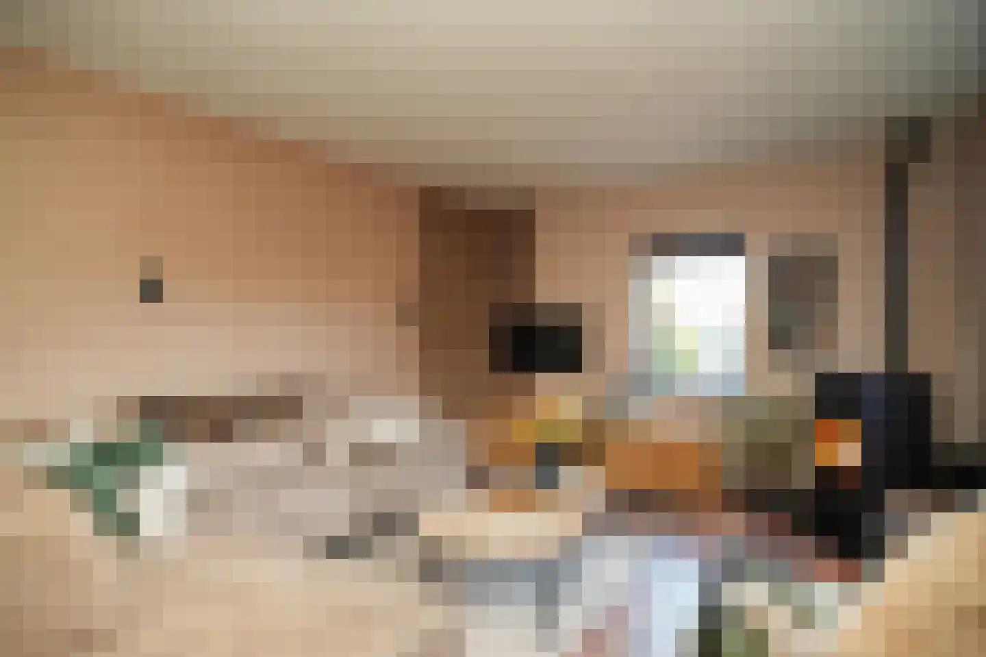 Rijksweg 11 Nieuwendijk thumbnail 12
