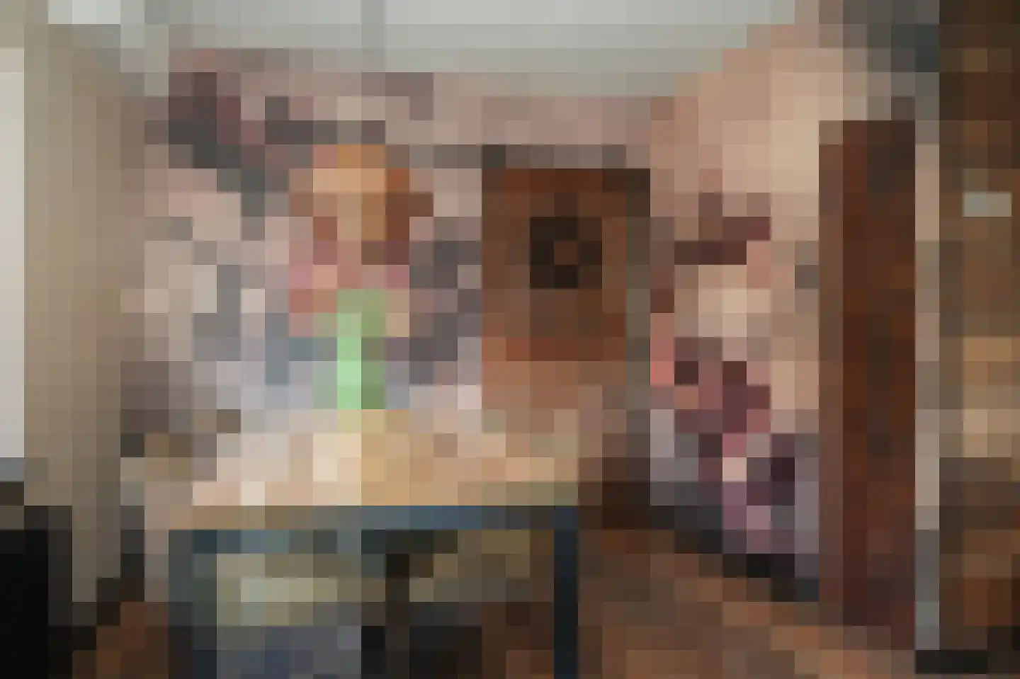 Rijksweg 11 Nieuwendijk thumbnail 15