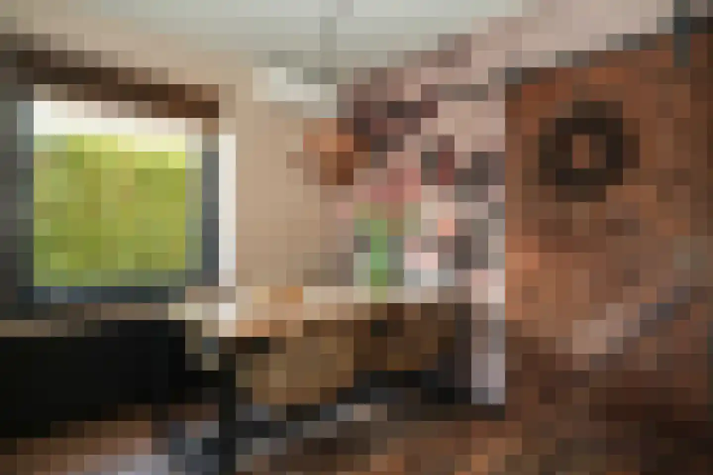 Rijksweg 11 Nieuwendijk thumbnail 17