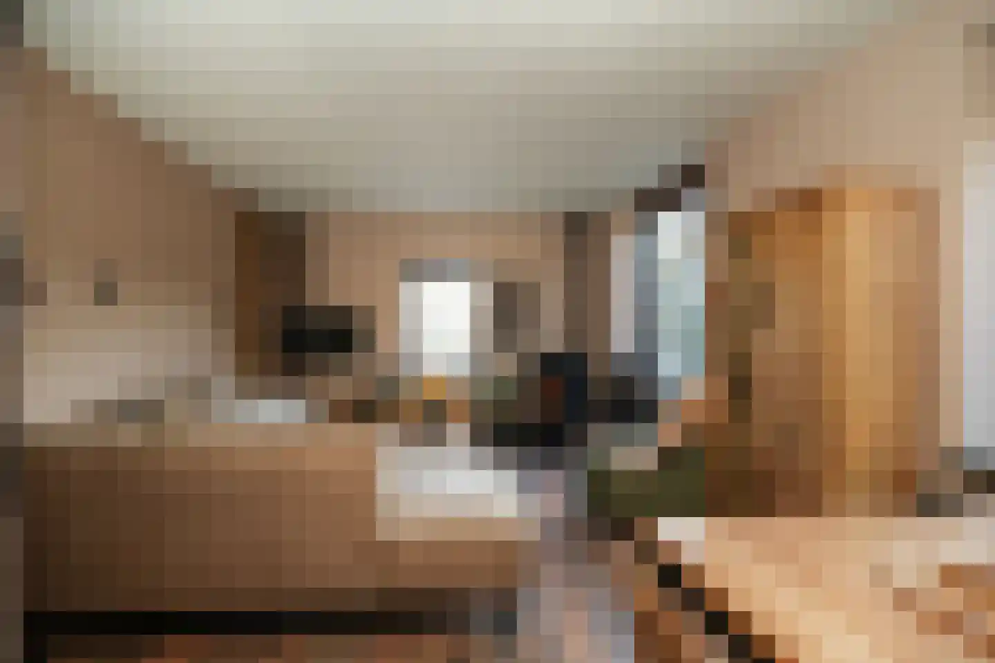 Rijksweg 11 Nieuwendijk thumbnail 18