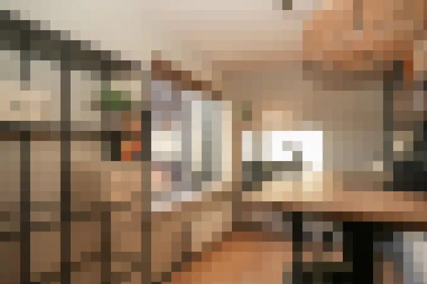 Rijksweg 11 Nieuwendijk thumbnail 33