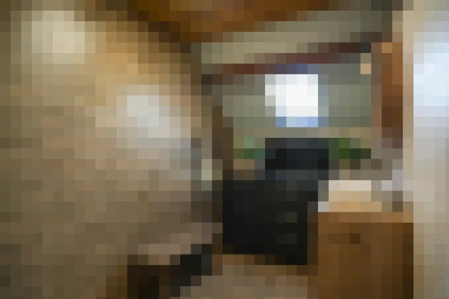 Rijksweg 11 Nieuwendijk thumbnail 6