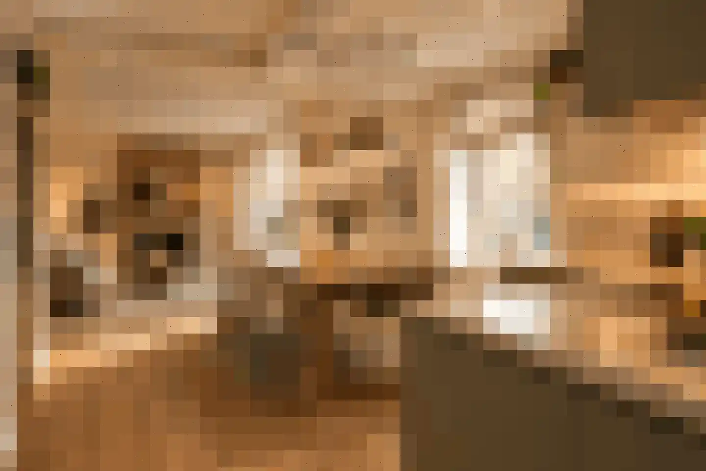 Rijksweg 113 Gronsveld thumbnail 18