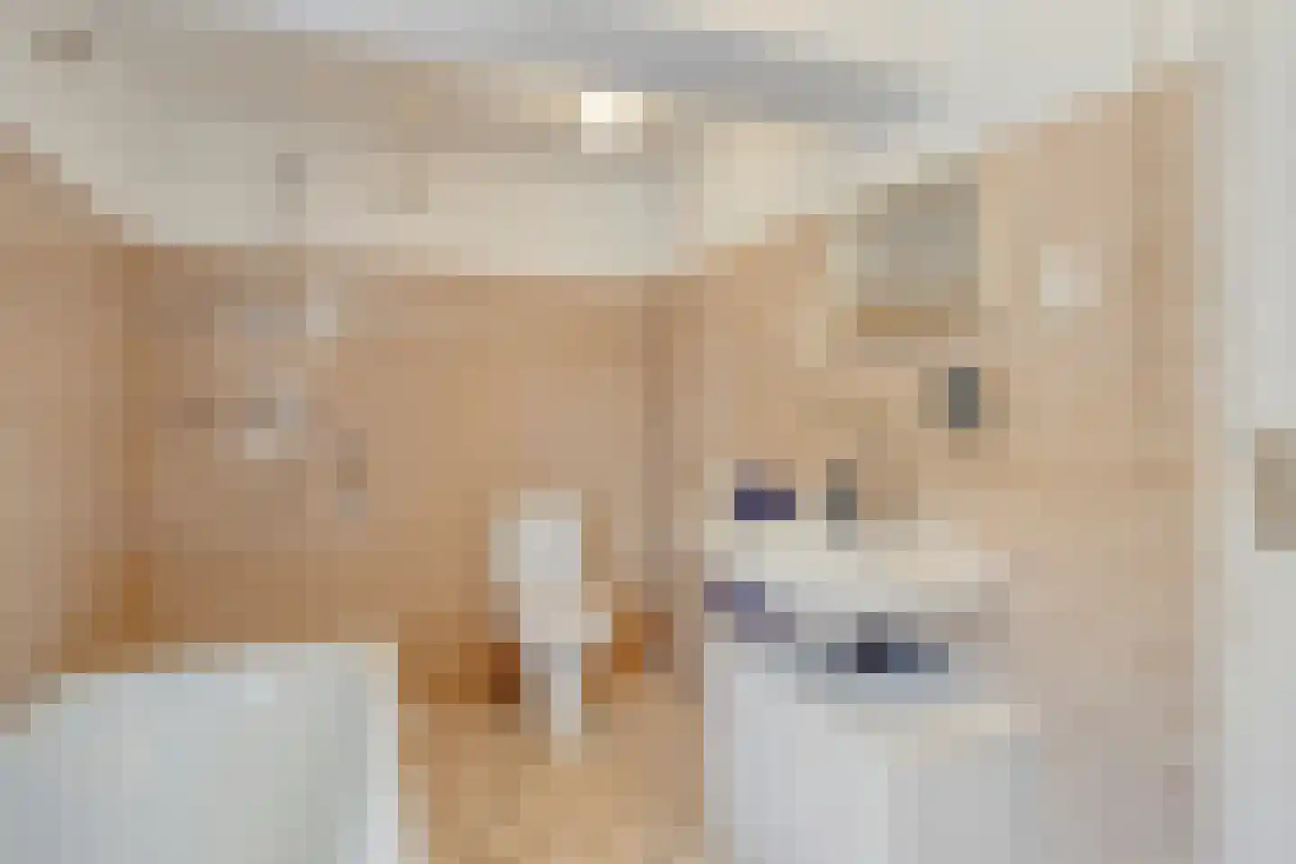 Rijksweg 113 Gronsveld thumbnail 37