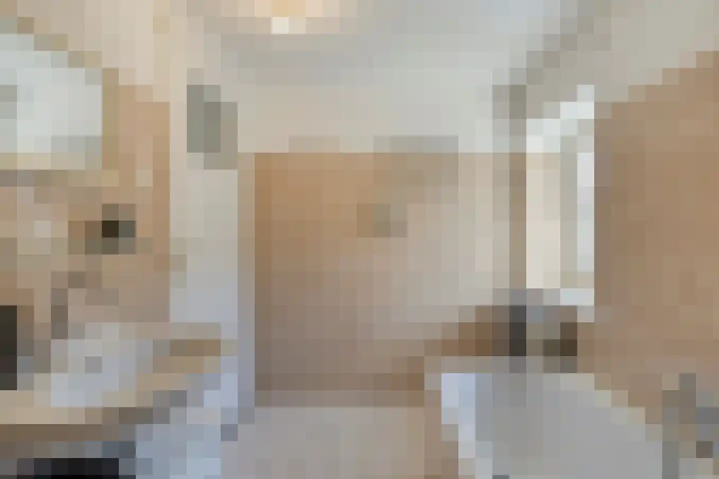 Rijksweg 113 Gronsveld thumbnail 38