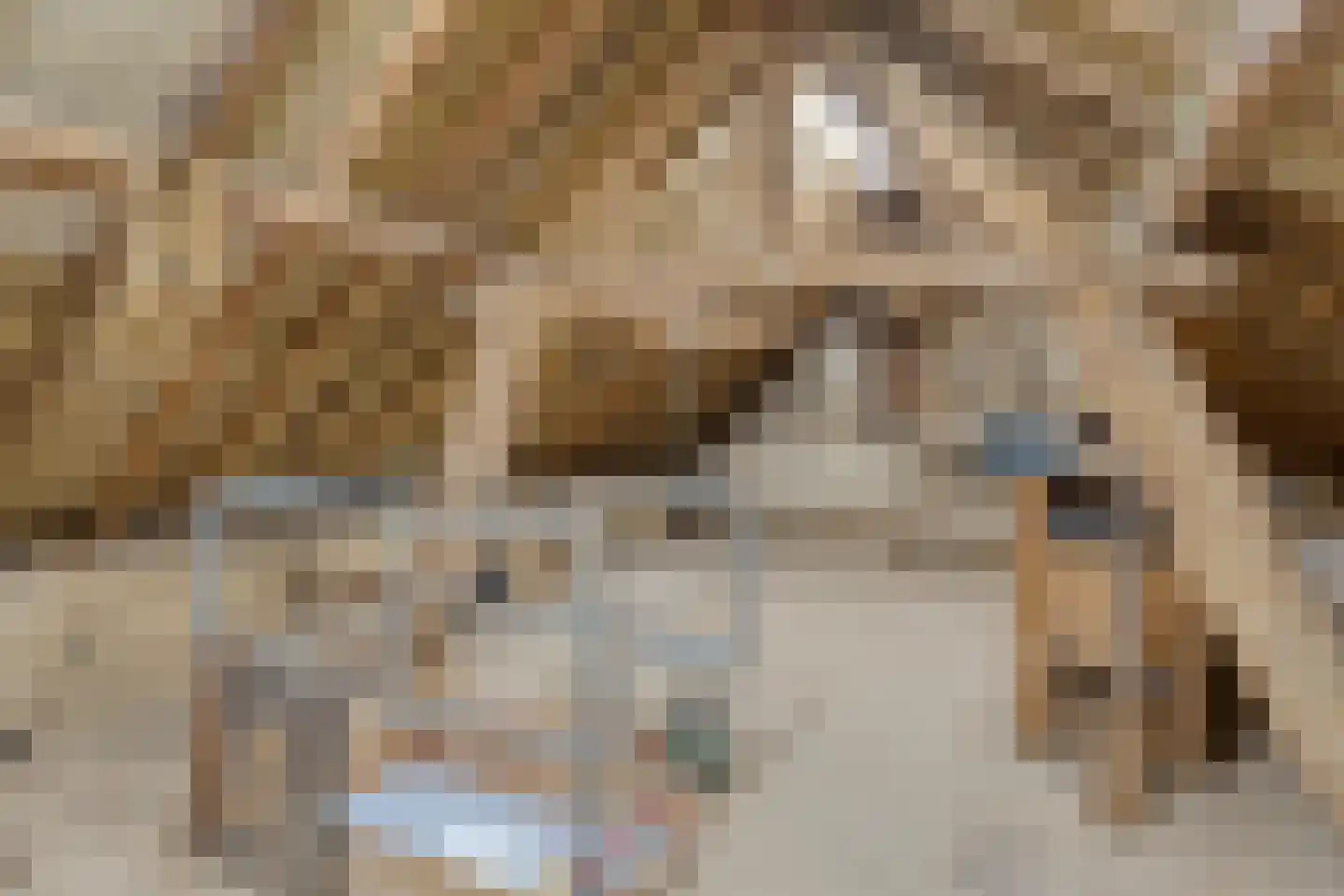 Rijksweg 113 Gronsveld thumbnail 46