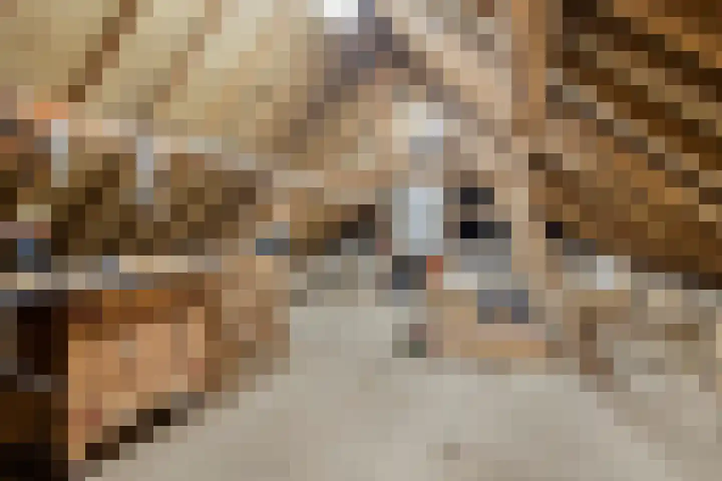 Rijksweg 113 Gronsveld thumbnail 47
