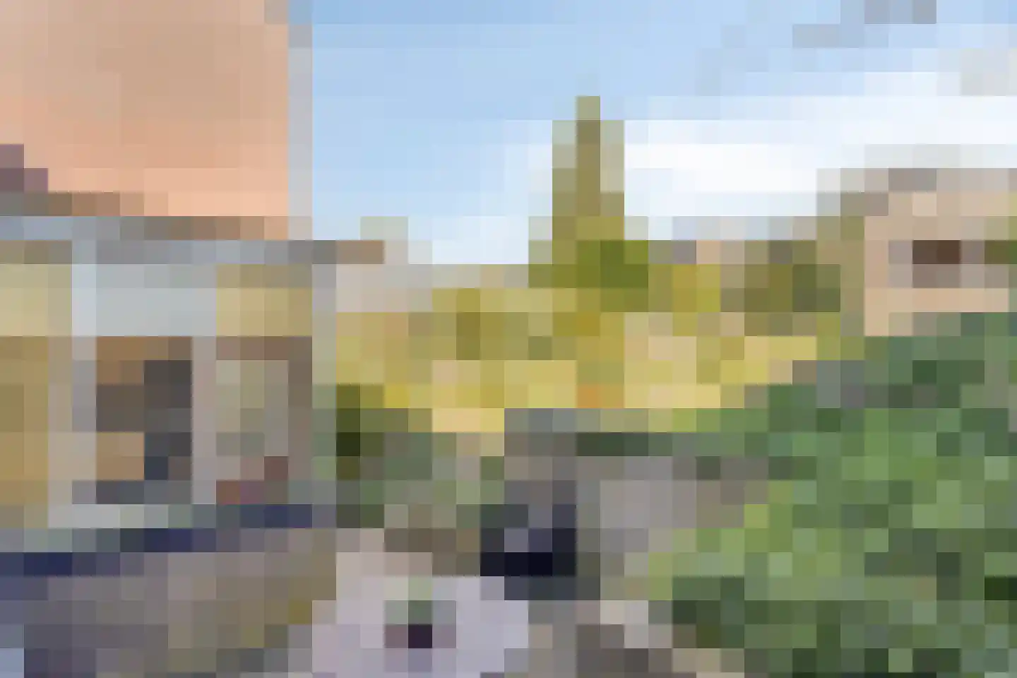 Rijksweg 113 Gronsveld thumbnail 53