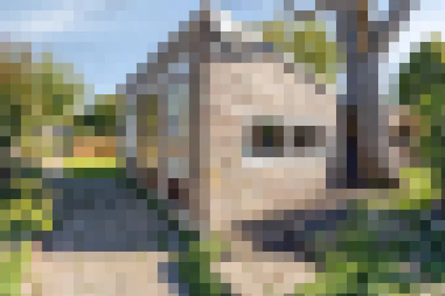 Rijksweg 113 Gronsveld thumbnail 54
