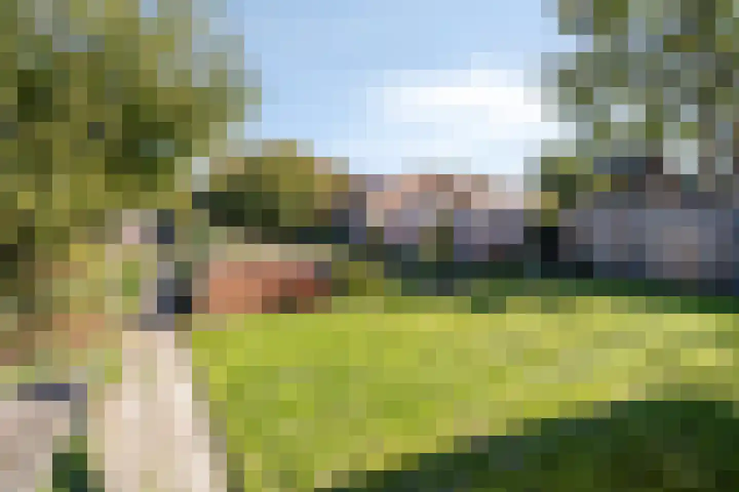 Rijksweg 113 Gronsveld thumbnail 55