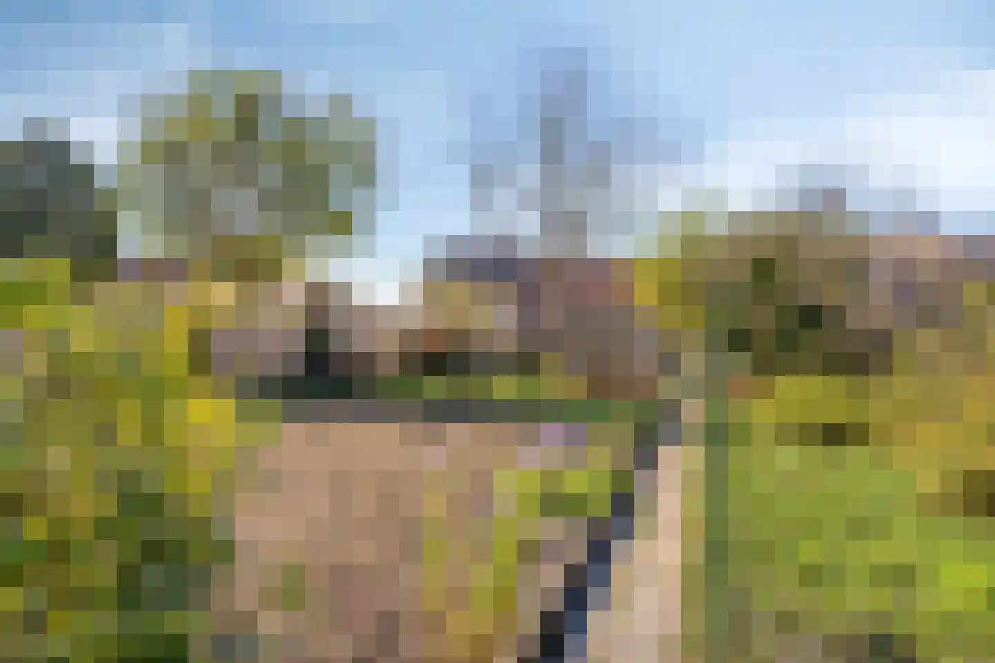 Rijksweg 113 Gronsveld thumbnail 57