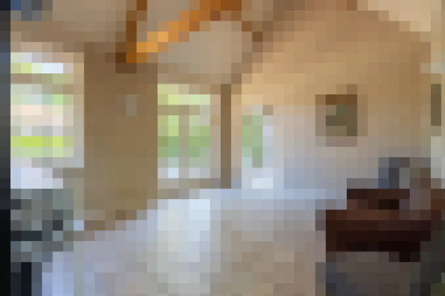 Rijksweg 114 Laag-Keppel thumbnail 31