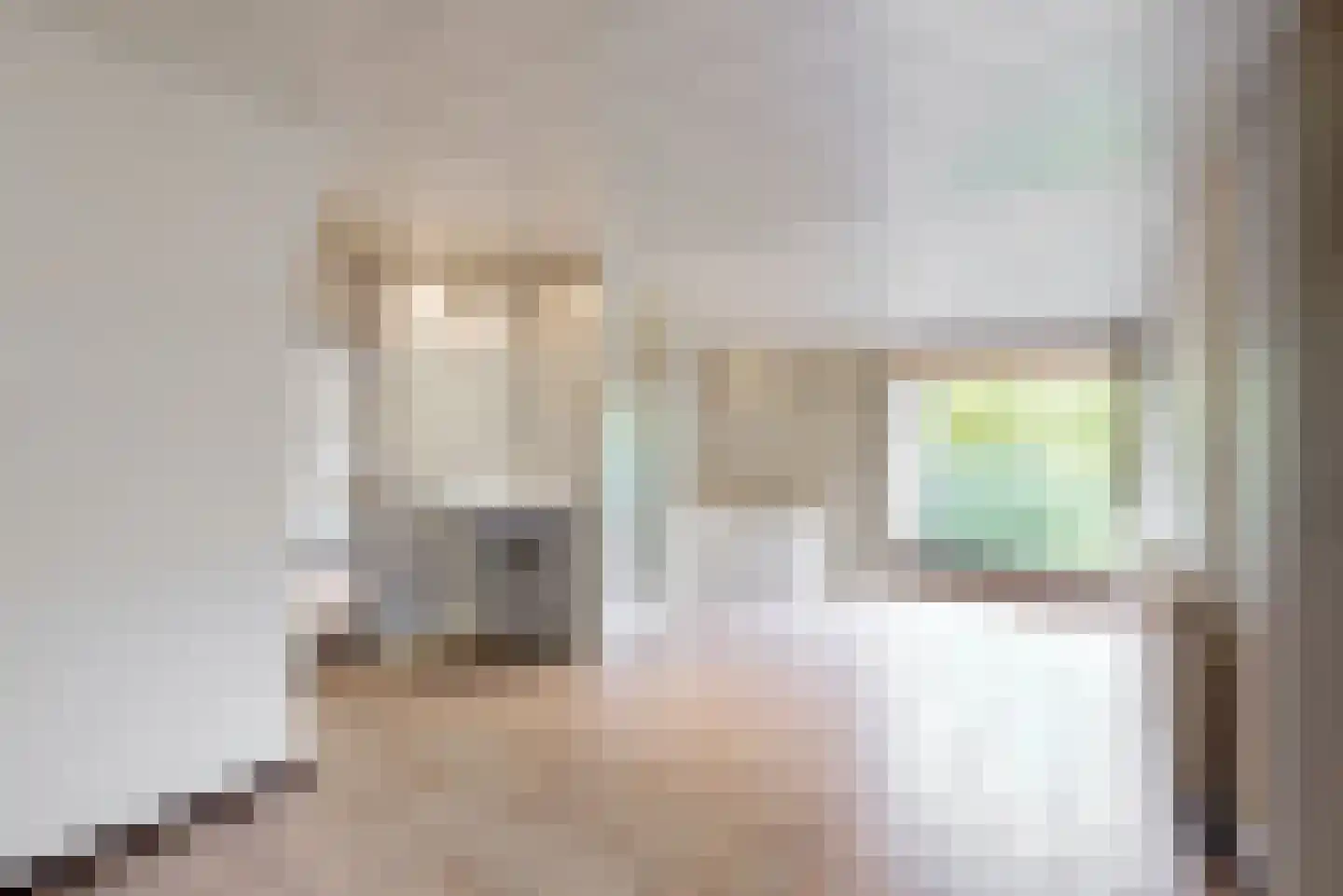Rijksweg 114 Reuver thumbnail 10