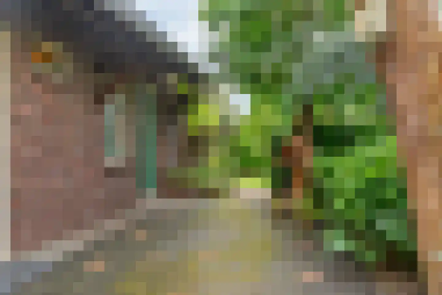 Rijksweg 114 Reuver thumbnail 29