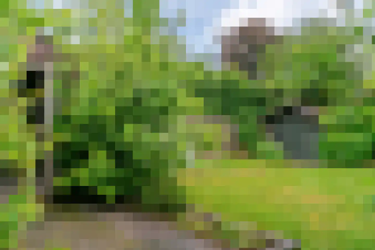 Rijksweg 114 Reuver thumbnail 31