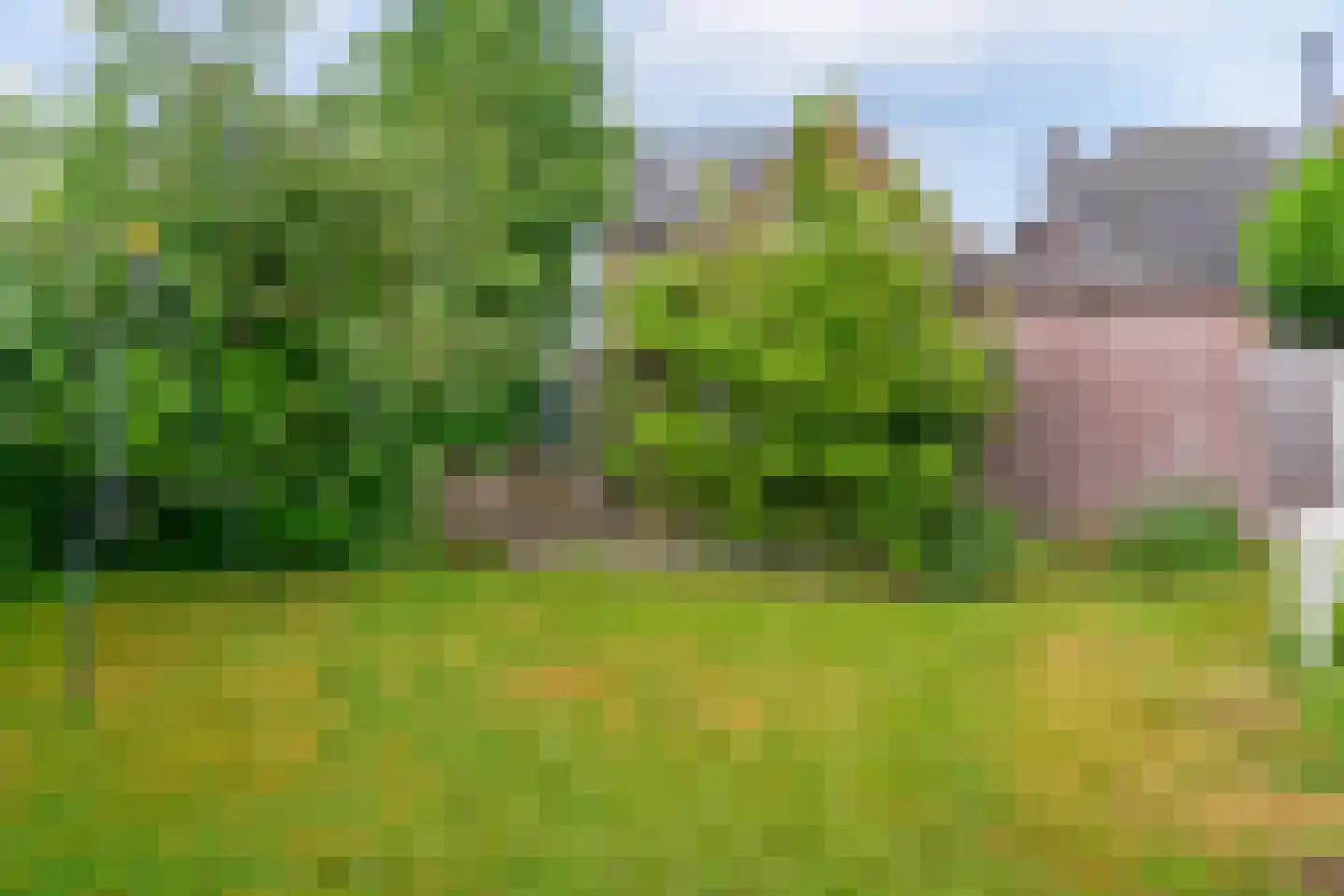 Rijksweg 114 Reuver thumbnail 32