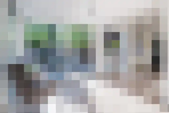 Rijksweg 12 Hulten thumbnail 21