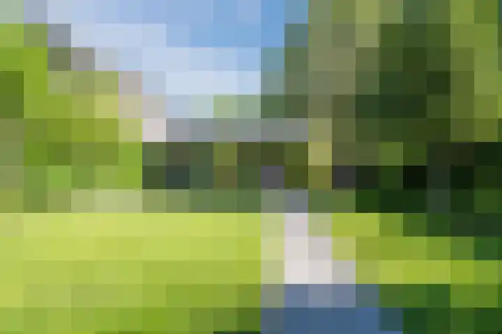 Rijksweg 12 Hulten thumbnail 34