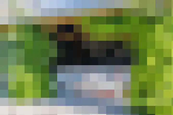 Rijksweg 12 Hulten thumbnail 36