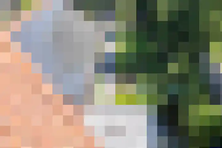 Rijksweg 12 Hulten thumbnail 51