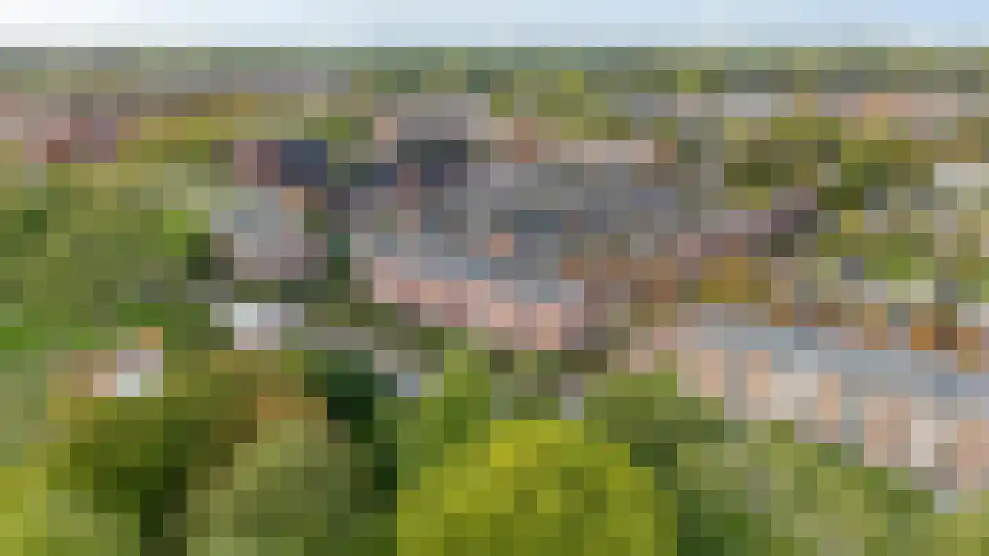Rijksweg 123 B Delfzijl thumbnail 10
