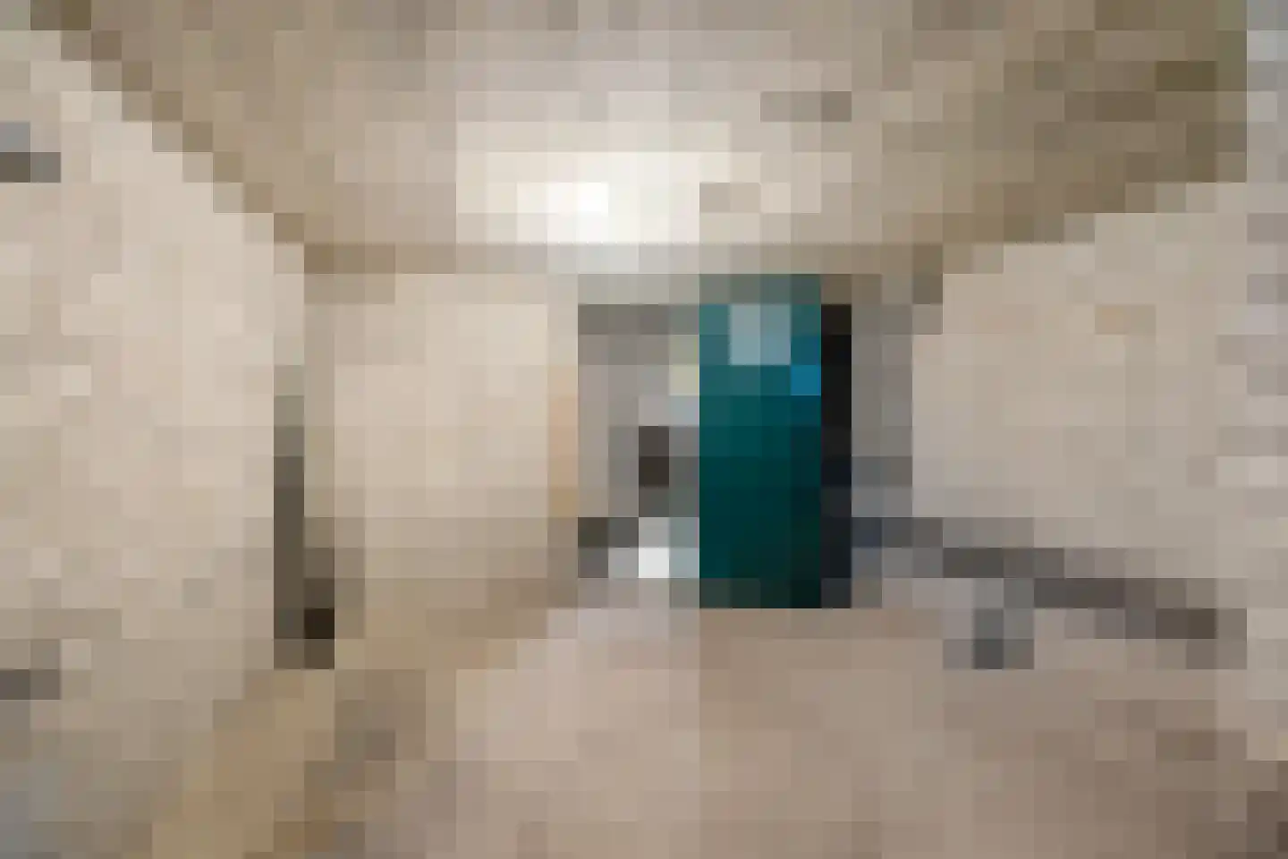 Rijksweg 123 B Delfzijl thumbnail 42