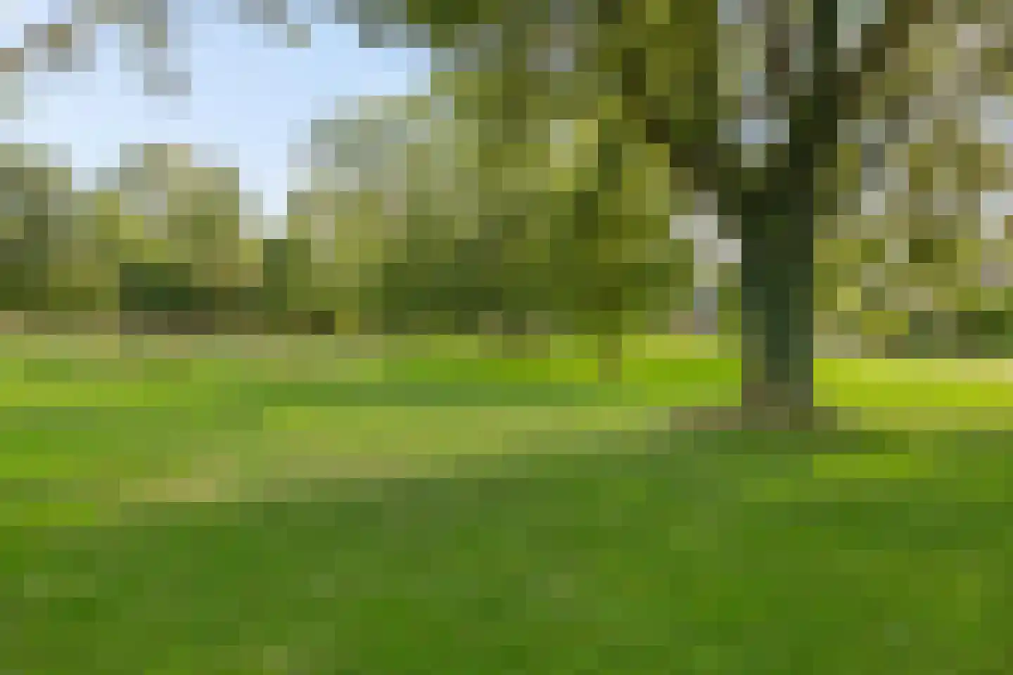 Rijksweg 123 B Delfzijl thumbnail 44