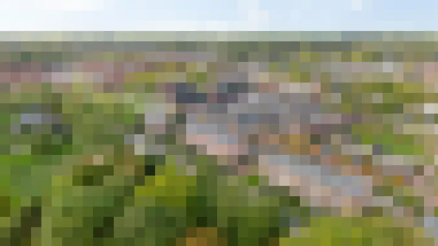 Rijksweg 123 B Delfzijl thumbnail 9