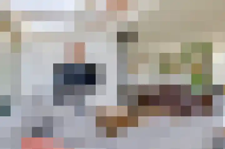 Rijksweg 123 Gaanderen thumbnail 10