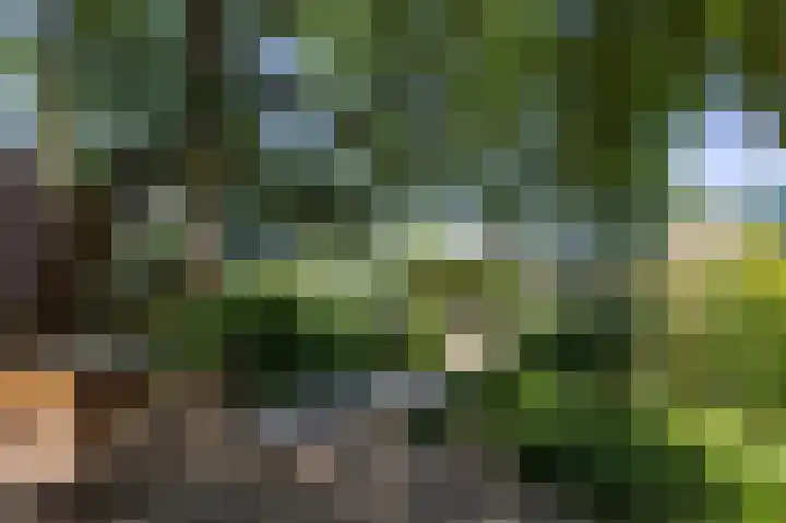 Rijksweg 123 Gaanderen thumbnail 21