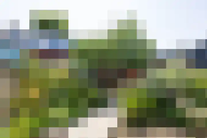 Rijksweg 123 Gaanderen thumbnail 25